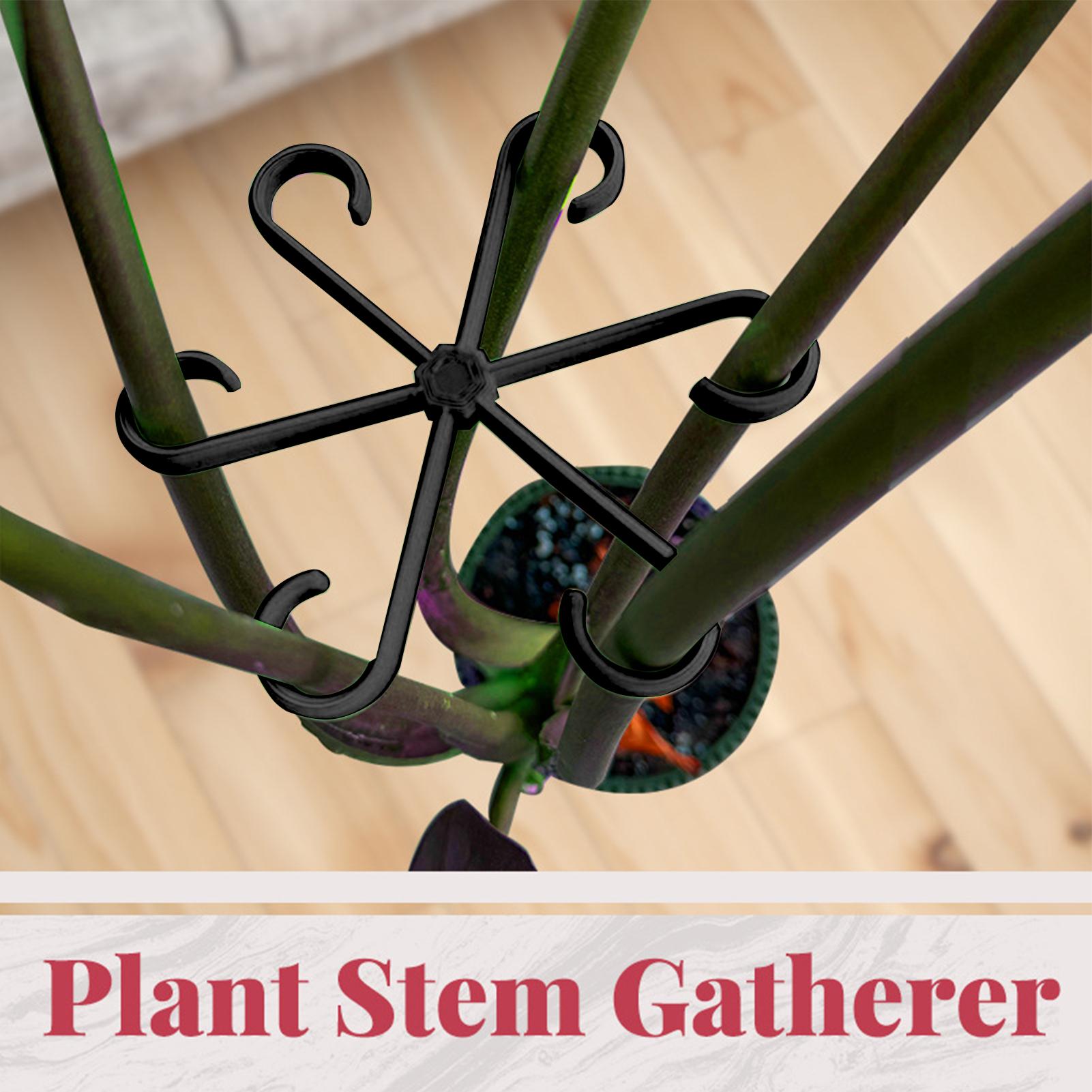 4pcs Plant Stem Support Clips  - đánh giá và giá Supply For Florist