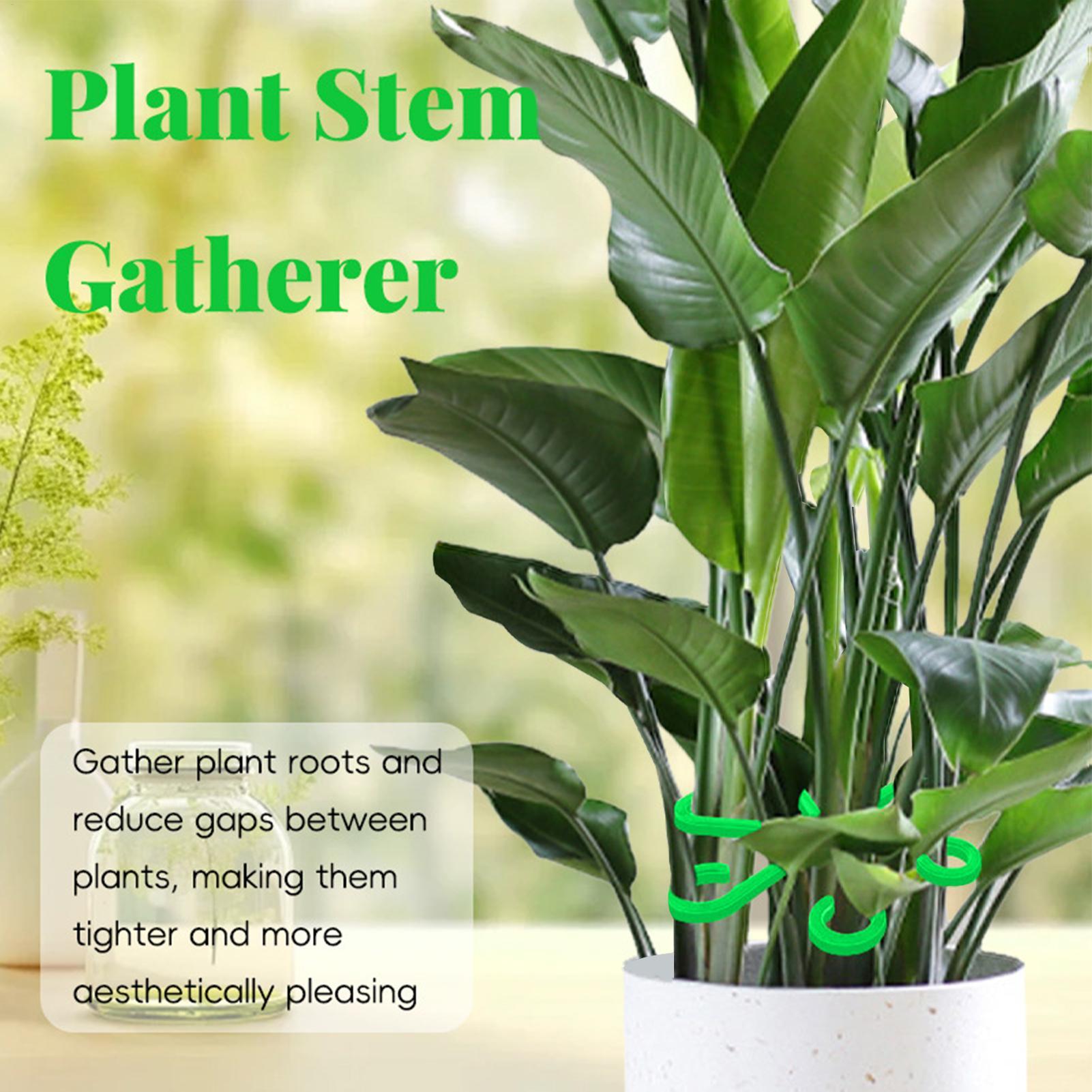 4pcs Plant Stem Support Clips  - đánh giá và giá Supply For Florist