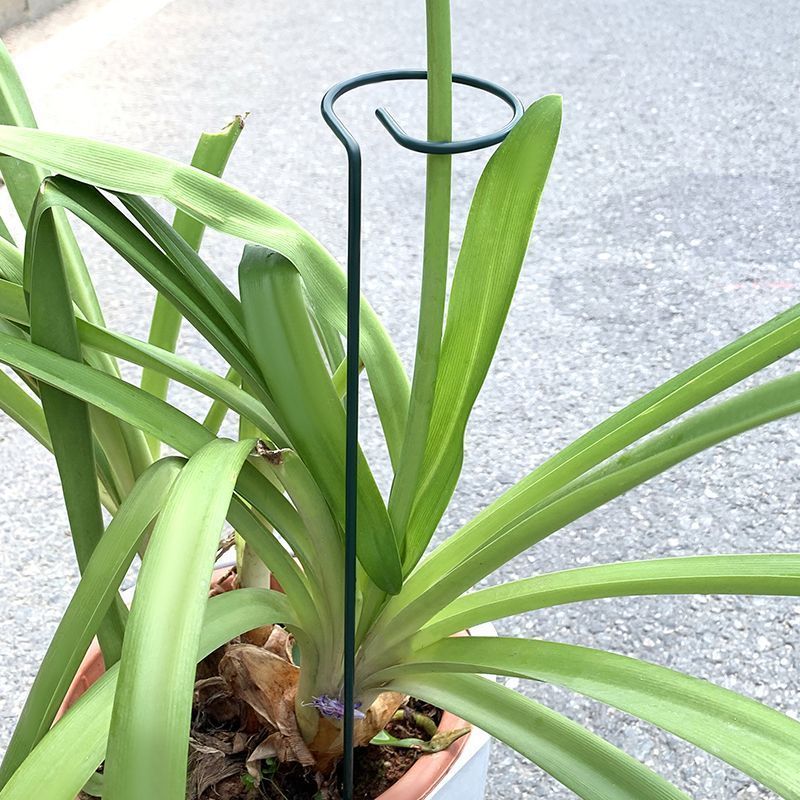 1-10pcs Metal Single Stem Plan - đánh giá và giá Supply For Florist